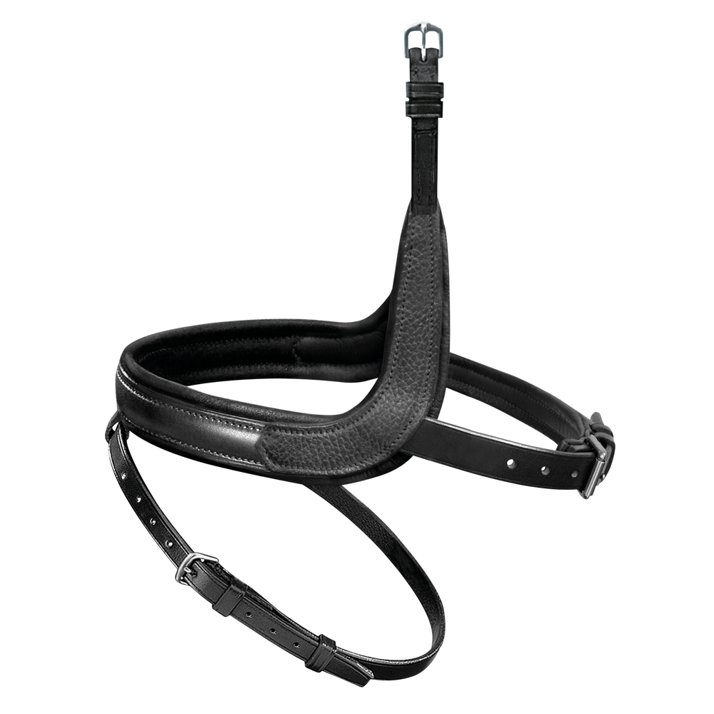 Passier exchangeable noseband with more room for the cheekbone with application