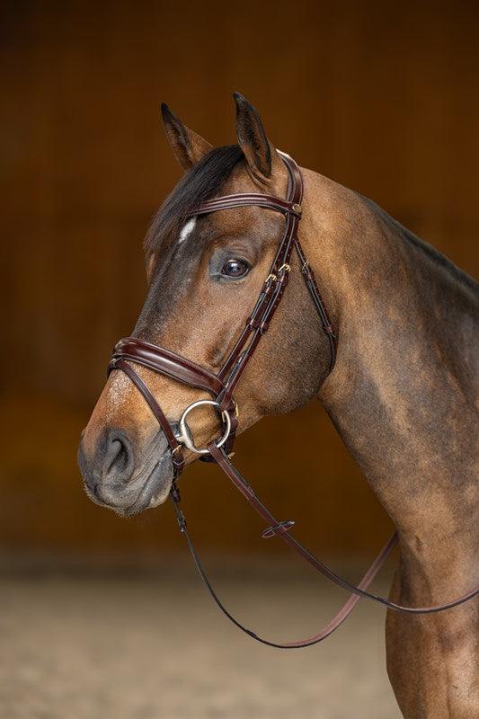 HFI pro bridle Verona - HorseworldEU
