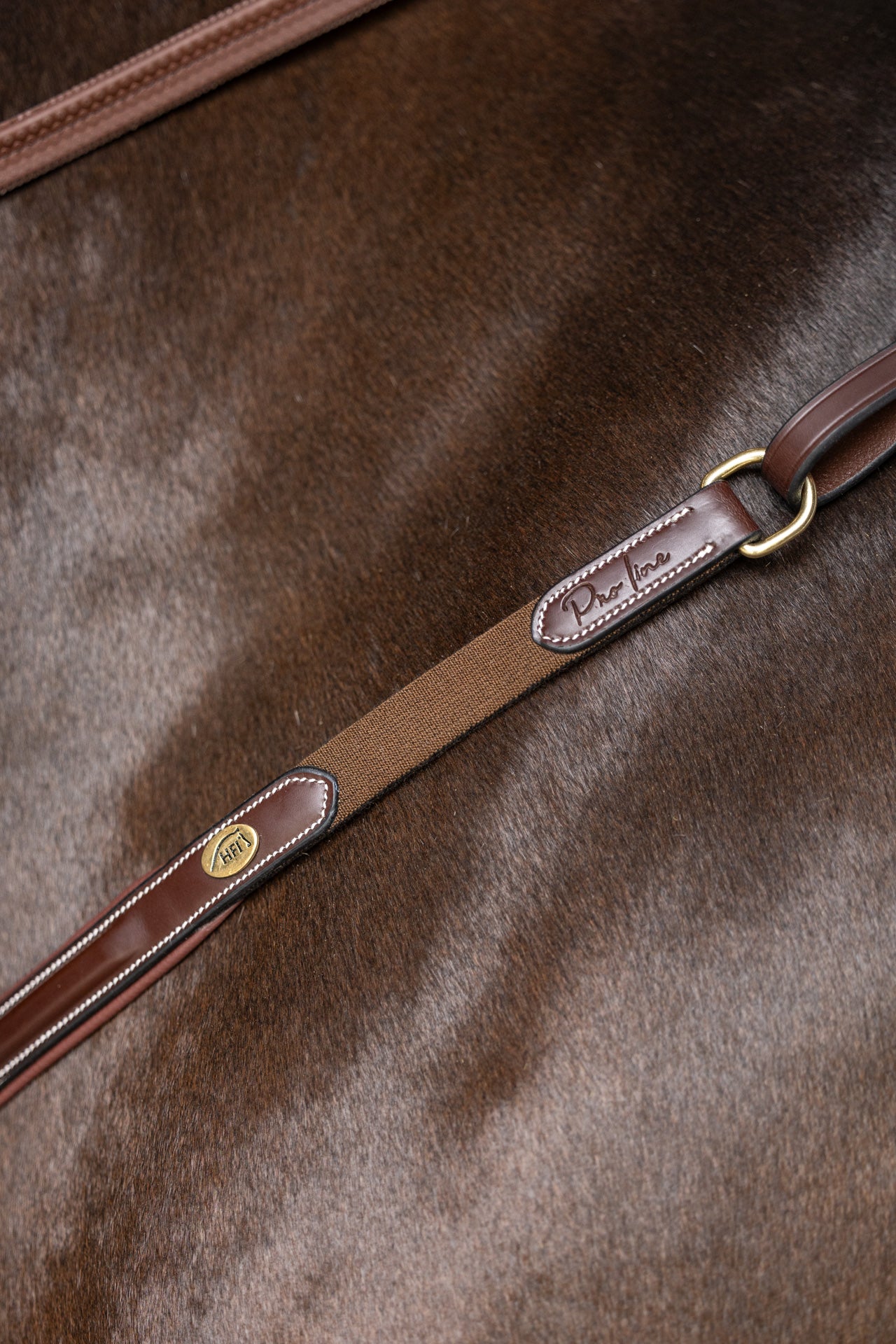 HFI pro Jachtmartingal Arezzo