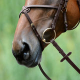 Passier exchangeable figure 8 noseband