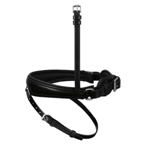 Passier anatomically formed caveson special with padded flash strap loop