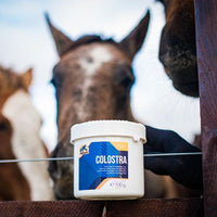 Cavalor colostra - HorseworldEU