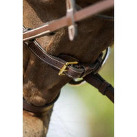 HFI functional bridle HFI