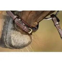 HFI German bridle HFI