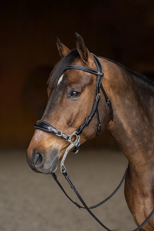 HF I Hackamore Bridle Premium Bitless Bridle for Horses