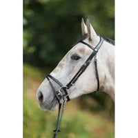 HFI regular bridle HFI