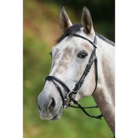 HFI regular bridle HFI