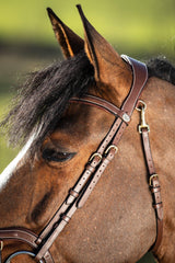 HFI techno bridle - HorseworldEU