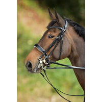 HFI weymouth bridle HFI