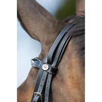 HFI weymouth bridle HFI