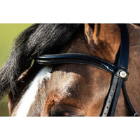 HFI weymouth bridle HFI