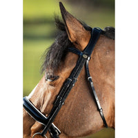 HFI weymouth bridle HFI