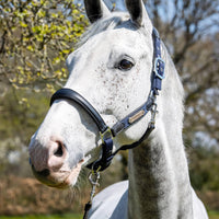 LeMieux capella headcollar - HorseworldEU