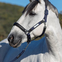 LeMieux capella headcollar - HorseworldEU