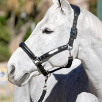 LeMieux capella headcollar - HorseworldEU