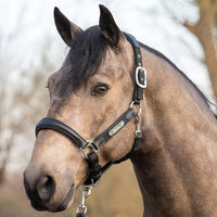 LeMieux capella headcollar - HorseworldEU