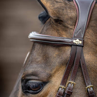 LeMieux Kudos Competition Flash bridle - HorseworldEU