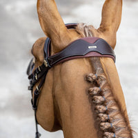 LeMieux Kudos Competition Flash bridle - HorseworldEU