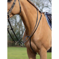 LeMieux running martingale Lemieux