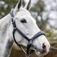 LeMieux stitched leather headcollar - HorseworldEU