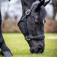 LeMieux stitched leather headcollar - HorseworldEU