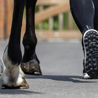 LeMieux trax waterproof trainer - HorseworldEU
