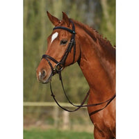 Stübben snaffle bridle 2300 Leitrim Stübben