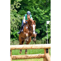 Stübben snaffle bridle 2300 Leitrim Stübben