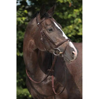 Stübben snaffle bridle 2300 Leitrim Stübben