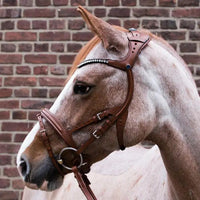 Stübben snaffle bridle freedom magic tack 2510 Stübben