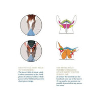 Stübben snaffle bridle freedom magic tack 2510 Stübben