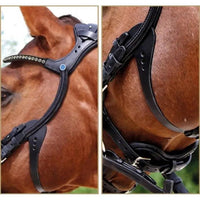 Stübben snaffle bridle freedom magic tack 2510 Stübben