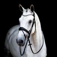 Stübben snaffle bridle switch magic tack 2800 Stübben