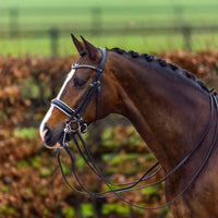 Trust Aachen Large patent crank noseband double bridle - HorseworldEU