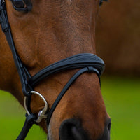 Trust Amsterdam Combined noseband bridle anatomic - HorseworldEU