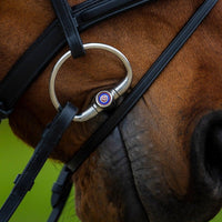 Trust Amsterdam Combined noseband bridle anatomic - HorseworldEU