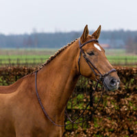 Trust Barcelona Adjusted drop noseband bridle - HorseworldEU