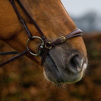 Trust Barcelona Adjusted drop noseband bridle - HorseworldEU
