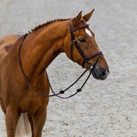 Trust Calgary Combined noseband bridle - HorseworldEU