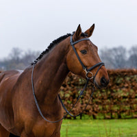 Trust Hamburg training bridle - HorseworldEU