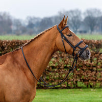 Trust Paris Double noseband bridle - HorseworldEU