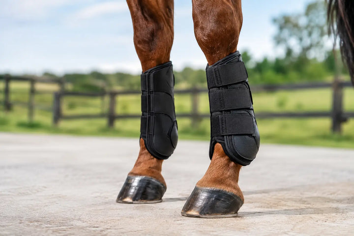 A Practical Guide to Compression Horse Boots