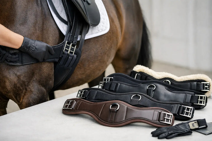 How to Select Dressage Girth Correctly