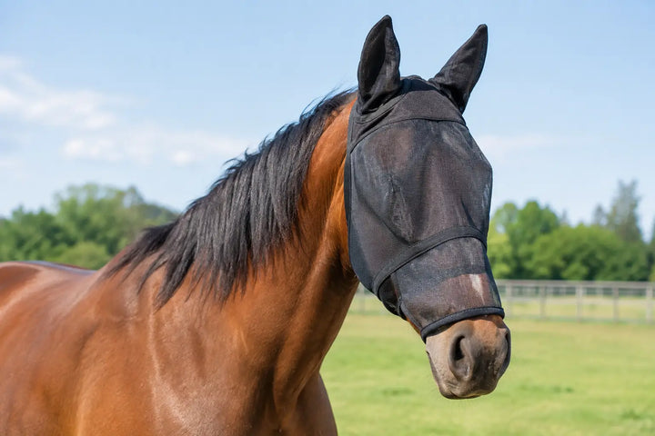 Do Horses Need Fly Masks? A Practical Guide