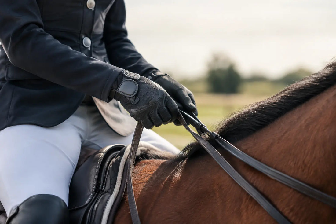 A Practical Guide to Competition Riding Gloves