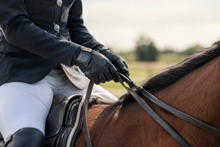 A Practical Guide to Competition Riding Gloves