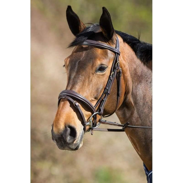 Horse - About English bridles