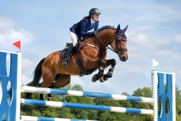 Showjumping Equipment That Performs Under Pressure