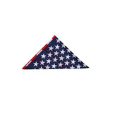 Pool's bandana