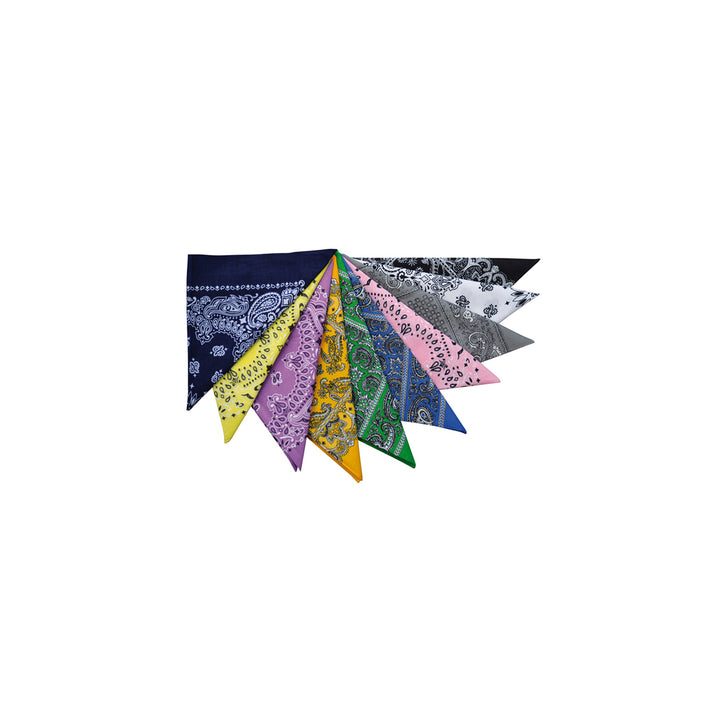 Pool's cotton bandana